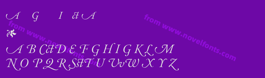 Adobe Garamond Italic AlternatePreview Adobe Garamond Italic AlternatePreview