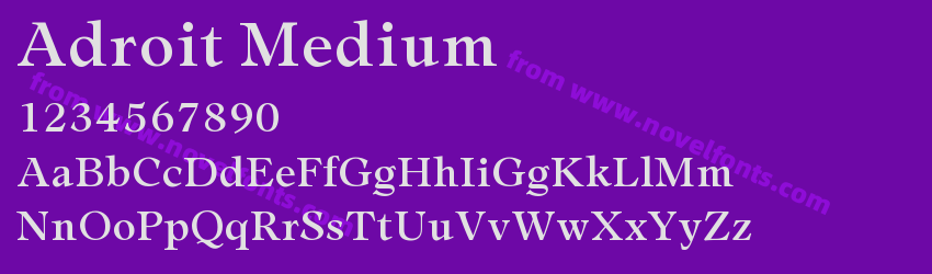 Adroit MediumPreview Adroit MediumPreview