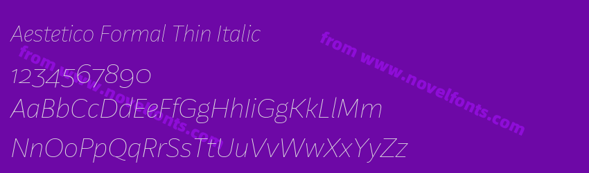 Aestetico Formal Thin ItalicPreview Aestetico Formal Thin ItalicPreview