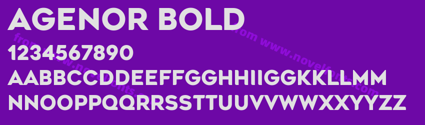 Agenor BoldPreview Agenor BoldPreview