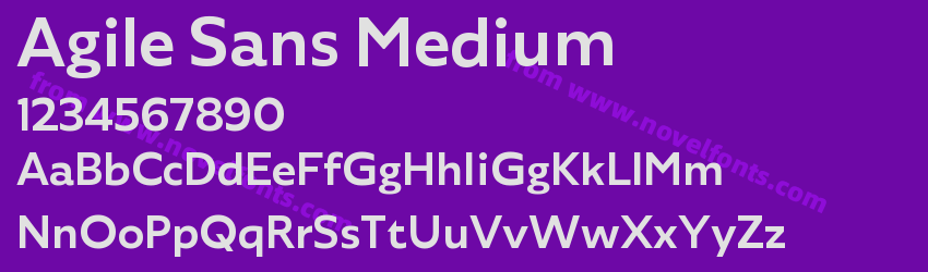 Agile Sans MediumPreview