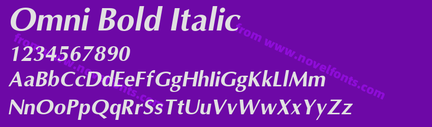 Omni Bold ItalicPreview