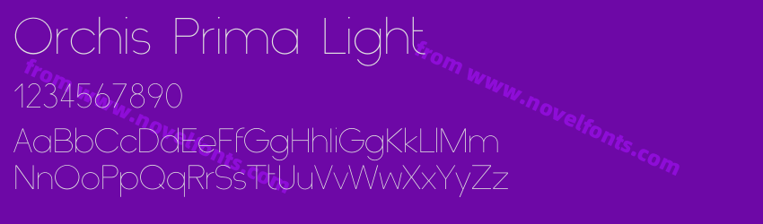 Orchis Prima LightPreview