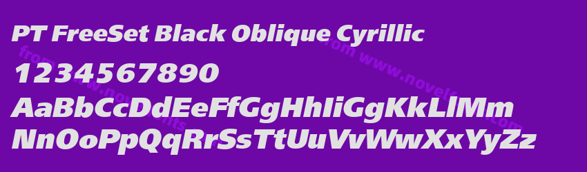 PT FreeSet Black Oblique CyrillicPreview