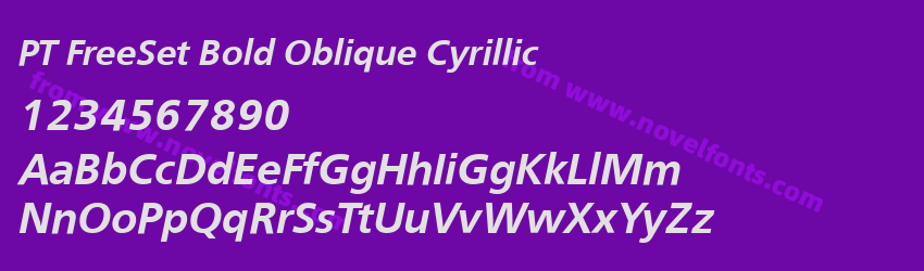 PT FreeSet Bold Oblique CyrillicPreview