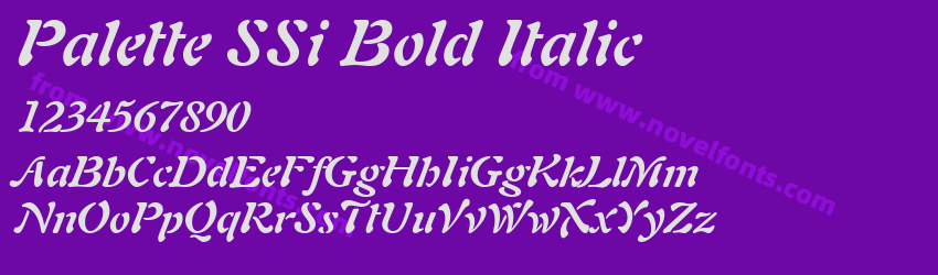 Palette SSi Bold ItalicPreview