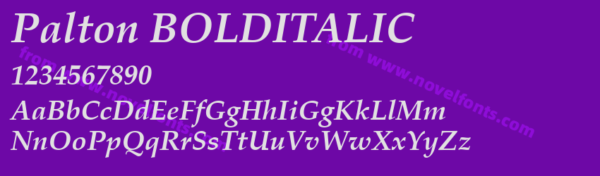 Palton BOLDITALICPreview