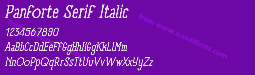 Panforte Serif ItalicPreview