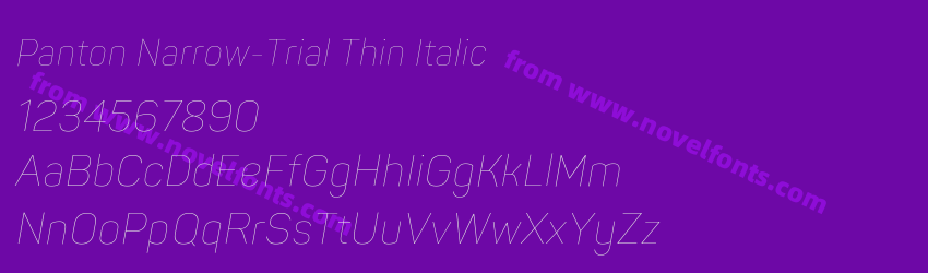 Panton Narrow-Trial Thin ItalicPreview