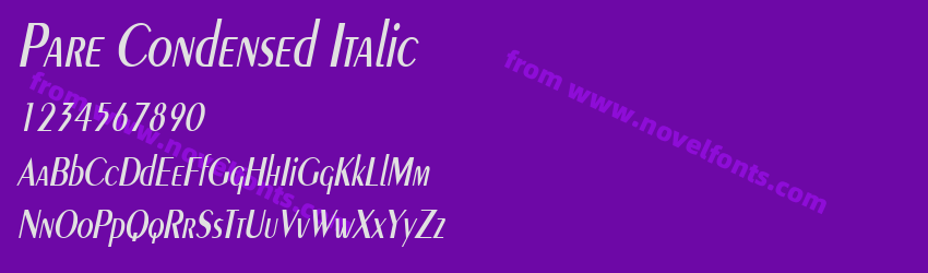 Pare Condensed ItalicPreview