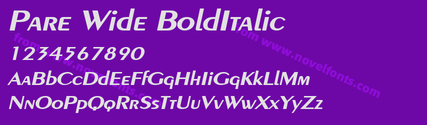 Pare Wide BoldItalicPreview