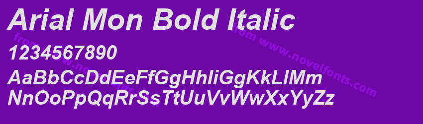 Arial Mon Bold ItalicPreview