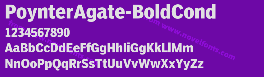 Poynter Agate Bold CondPreview