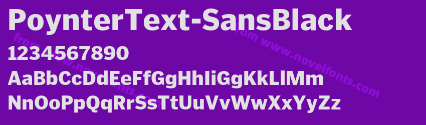 PoynterText-SansBlackPreview