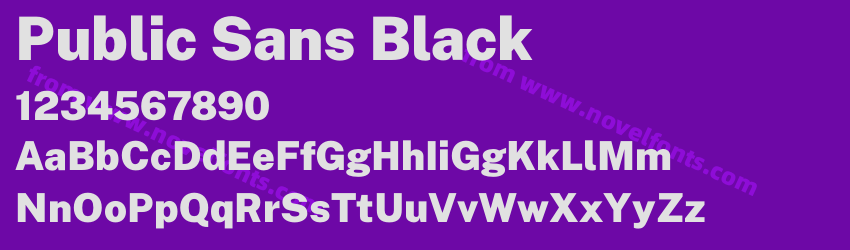 Public Sans BlackPreview