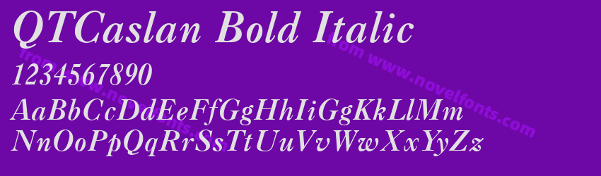 QTCaslan Bold ItalicPreview