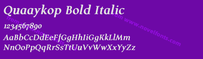 Quaaykop Bold ItalicPreview