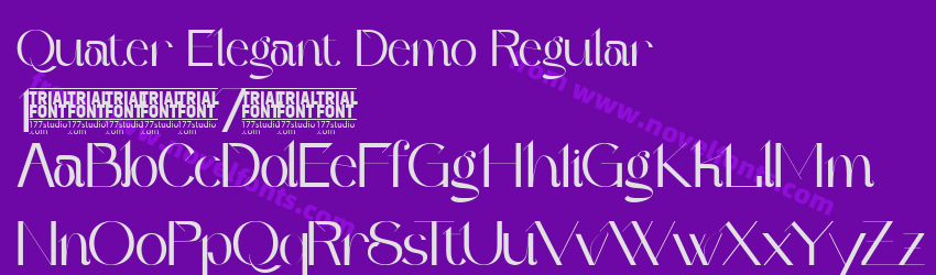 Quater Elegant Demo RegularPreview