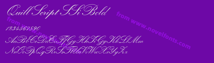 Quill Script S Si BoldPreview