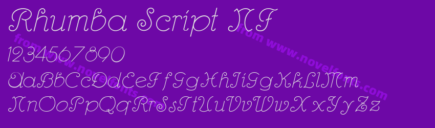 Rhumba Script NFPreview