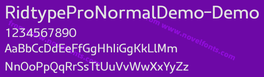 RidtypeProNormalDemo-DemoPreview
