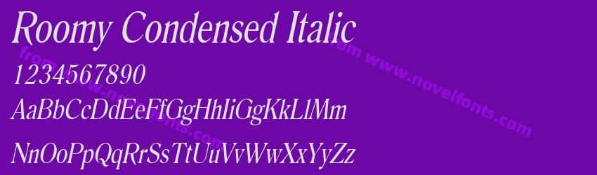 Roomy Condensed ItalicPreview