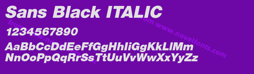 Sans Black ITALICPreview