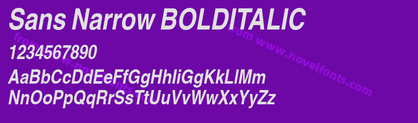 Sans Narrow BOLDITALICPreview