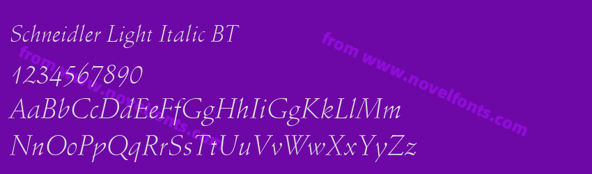 Schneidler Light Italic BTPreview