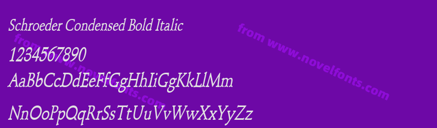 Schroeder Condensed Bold ItalicPreview