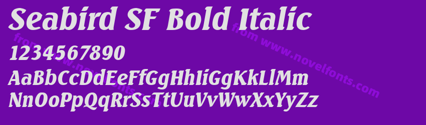 Seabird SF Bold ItalicPreview