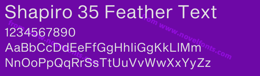 Shapiro 35 Feather TextPreview