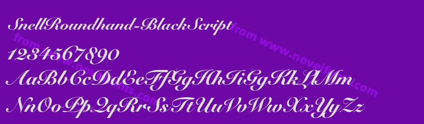 Snell Roundhand Black ScriptPreview