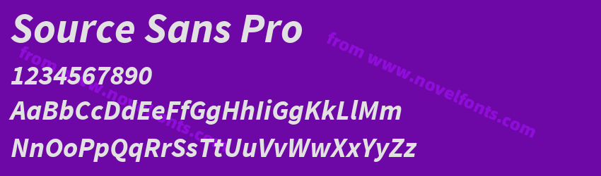 Source Sans Pro Bold ItalicPreview