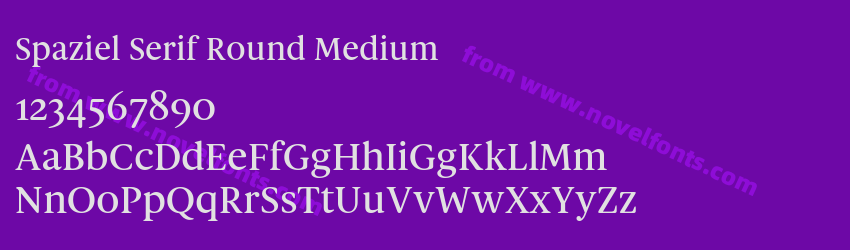 Spaziel Serif Round MediumPreview