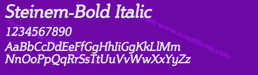 Steinem-Bold ItalicPreview