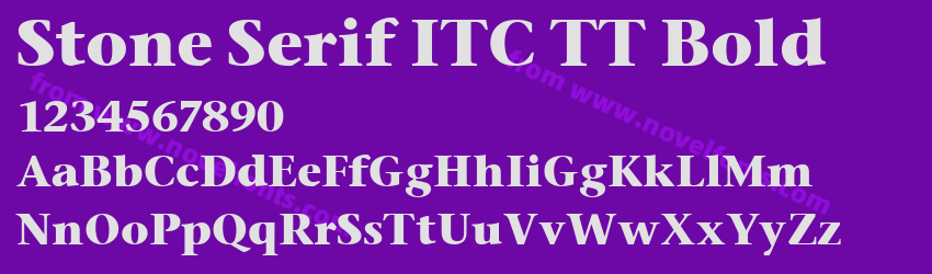 Stone Serif ITC TT BoldPreview