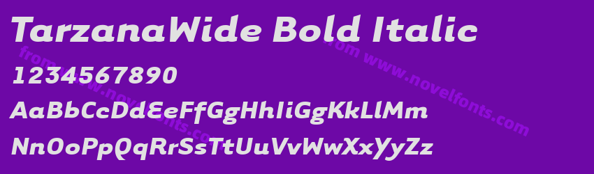 TarzanaWide Bold ItalicPreview