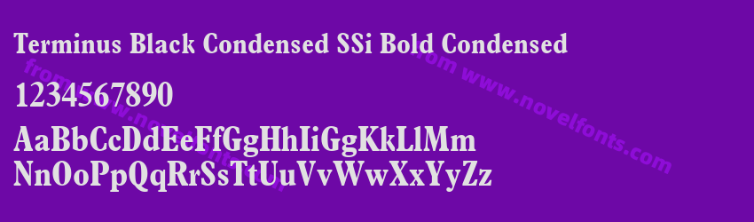 Terminus Black Condensed SSi Bold CondensedPreview