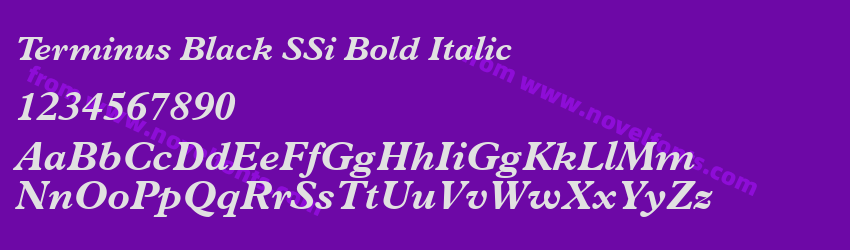 Terminus Black SSi Bold ItalicPreview