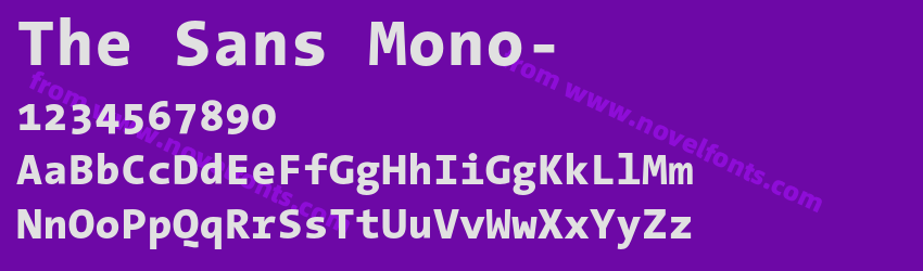 The Sans Mono Extra BoldPreview