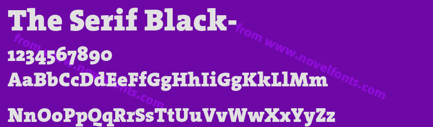 The Serif Black-Preview