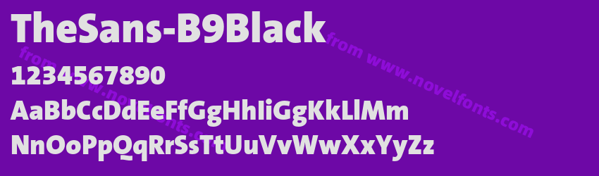 The Sans B9 BlackPreview