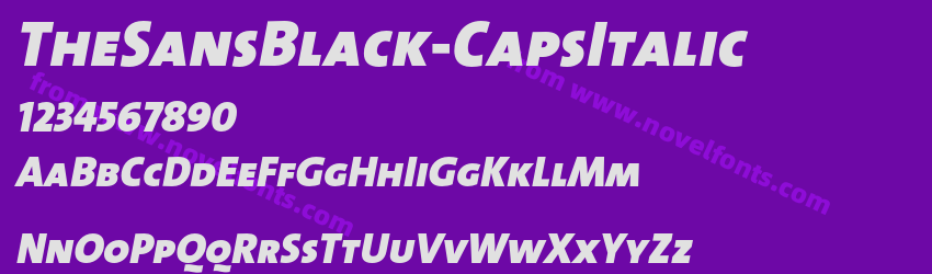 TheSansBlack-CapsItalicPreview