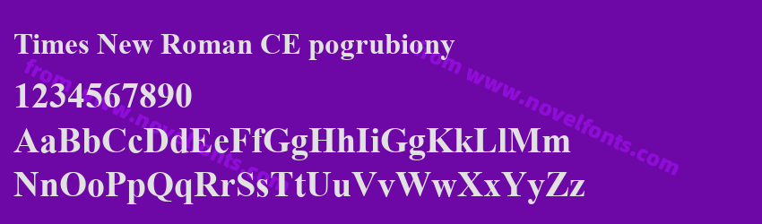 Times New Roman CE pogrubionyPreview