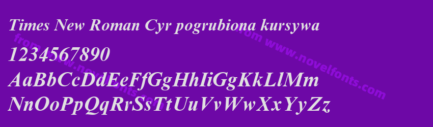 Times New Roman Cyr pogrubiona kursywaPreview