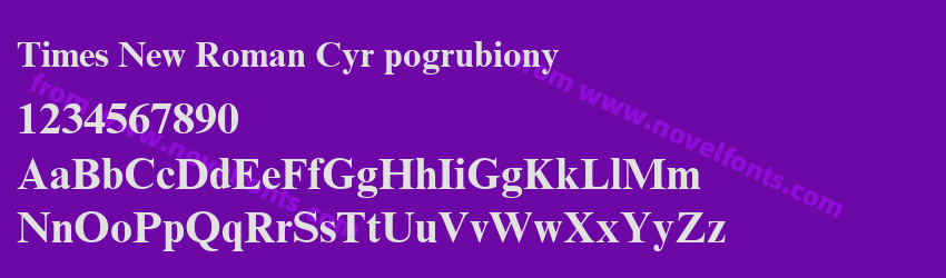 Times New Roman Cyr pogrubionyPreview