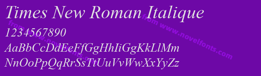 Times New Roman ItaliquePreview