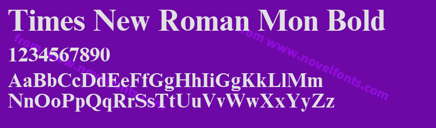 Times New Roman Mon BoldPreview