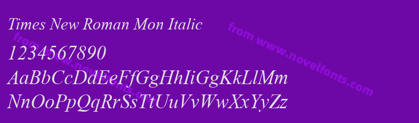 Times New Roman Mon ItalicPreview